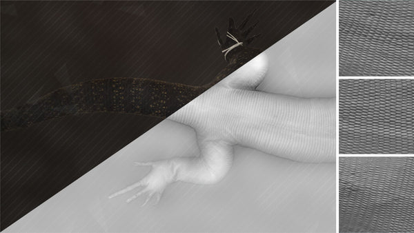 Lizard body - commercial use #05 - Texturing.xyz