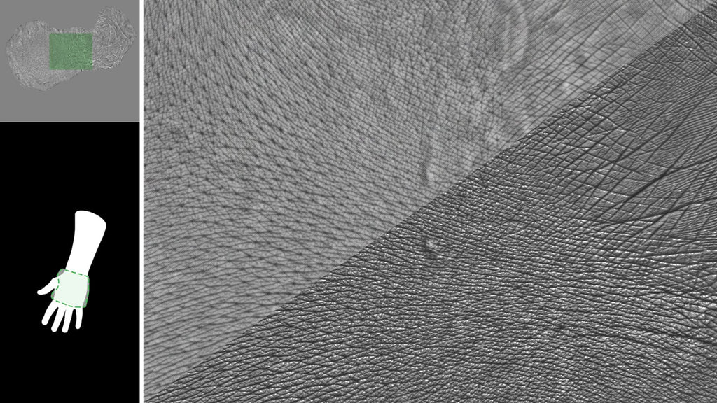 Female Arm 40s PalmHand #04 – Texturing.xyz