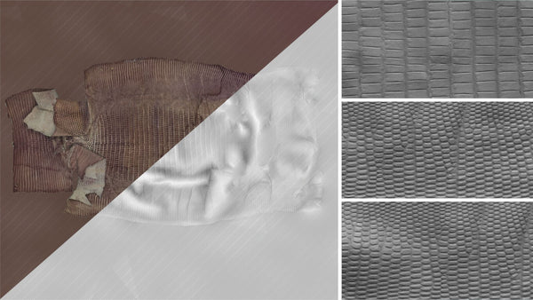 Iguana body - commercial use #03 - Texturing.xyz