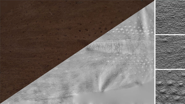 Ostrich skin - commercial use #01 - Texturing.xyz