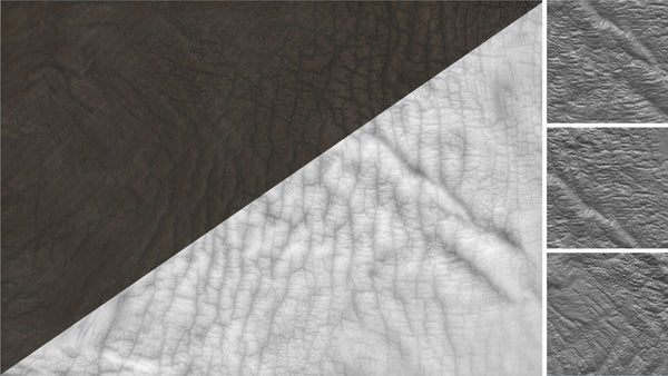 Rhinoceros skin - commercial use #01 - Texturing.xyz