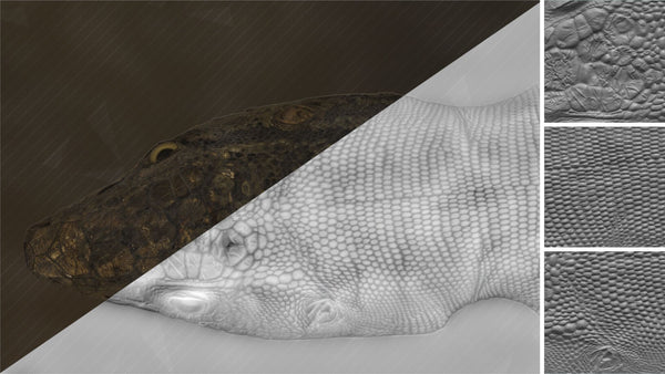Lizard head - commercial use #01 - Texturing.xyz