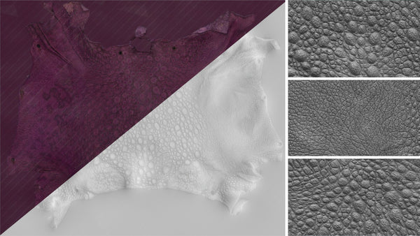 Frog - commercial use #06 - Texturing.xyz