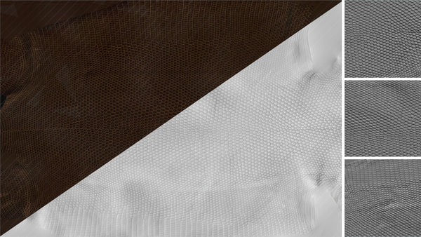 Lizard back - commercial use #01 - Texturing.xyz