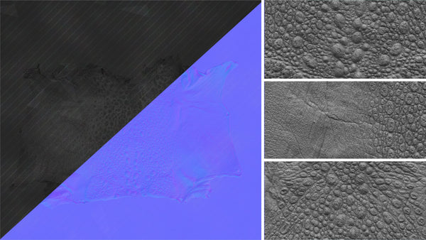 Frog - commercial use #05 - Texturing.xyz