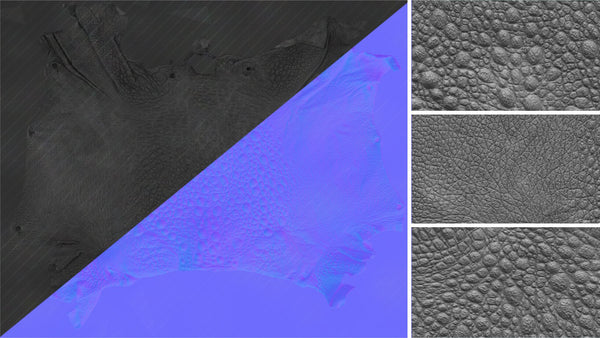 Frog - commercial use #06 - Texturing.xyz