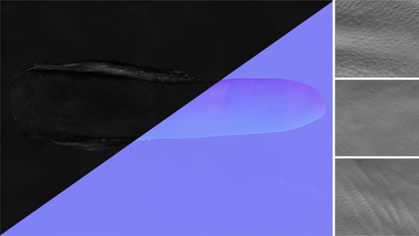 Cow tongue - commercial use #01 - Texturing.xyz