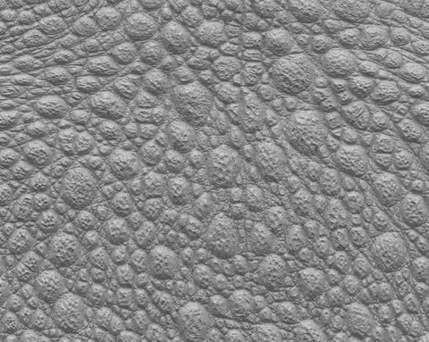 Bundle frog - commercial use #01 - Texturing.xyz