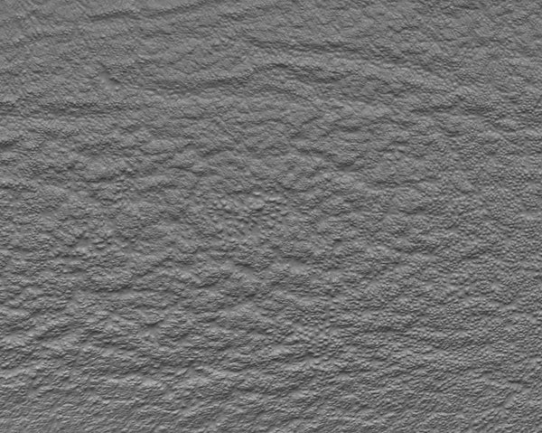 Elephant knee - commercial use #02 - Texturing.xyz