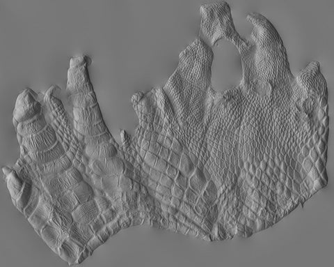 Alligator foot - commercial use #01 - Texturing.xyz