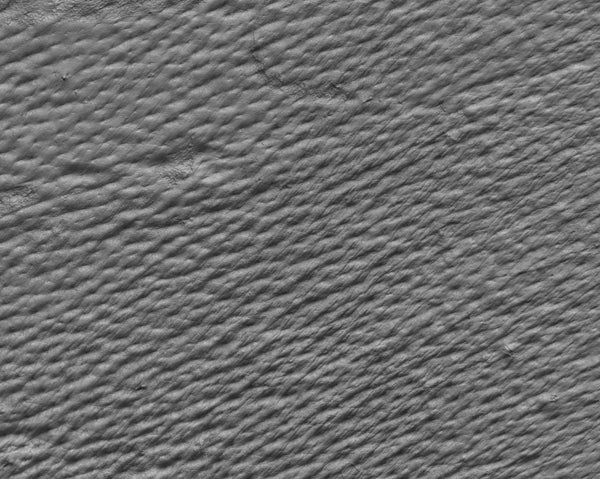Pig skin - commercial use #01 - Texturing.xyz