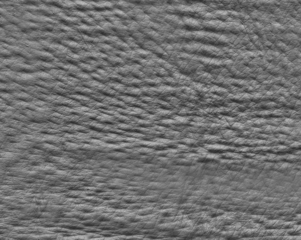 Pig skin - commercial use #02 - Texturing.xyz
