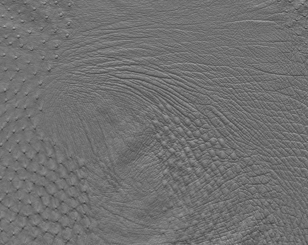 Ostrich body - commercial use #03 - Texturing.xyz