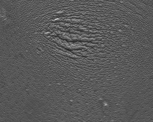 Arm Texture Male Arm 30s FullArm #01 – Texturing.xyz