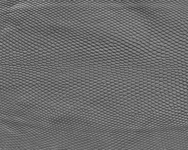 Lizard back - commercial use #01 - Texturing.xyz
