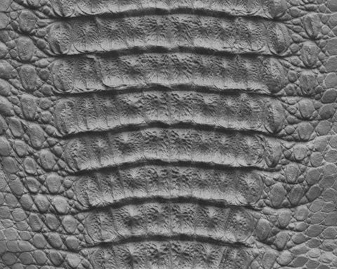 Caiman body - commercial use #02 - Texturing.xyz