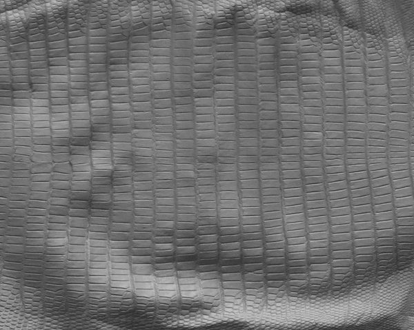 Iguana body - commercial use #03 - Texturing.xyz