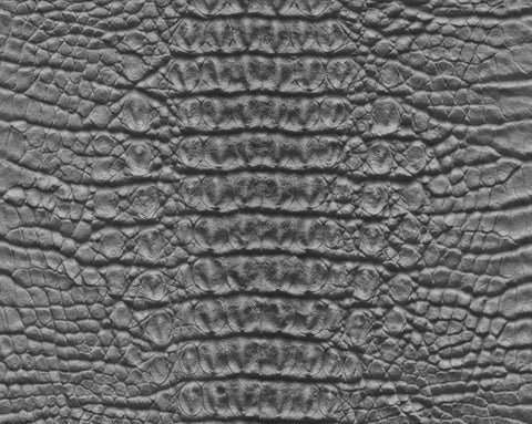 Caiman body - commercial use #01 - Texturing.xyz
