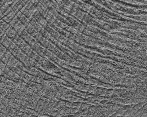 Elephant body - commercial use #01 - Texturing.xyz