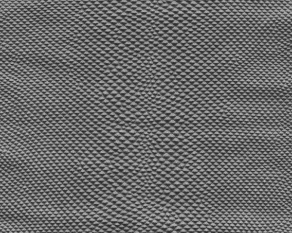 Snake body - commercial use #02 - Texturing.xyz