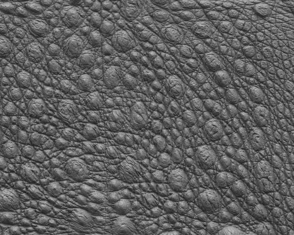 Toog Texture Frog #02 – Texturing.xyz