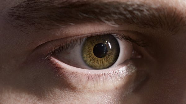 HumanEyes Iris #79 - Texturing.xyz