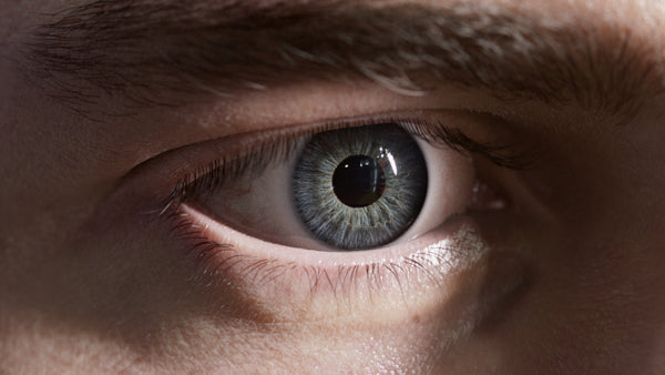 HumanEyes Iris #25 - Texturing.xyz