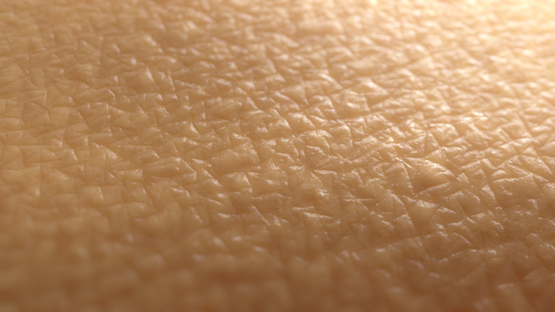MicroSkin Elbow #04 – Texturing.xyz