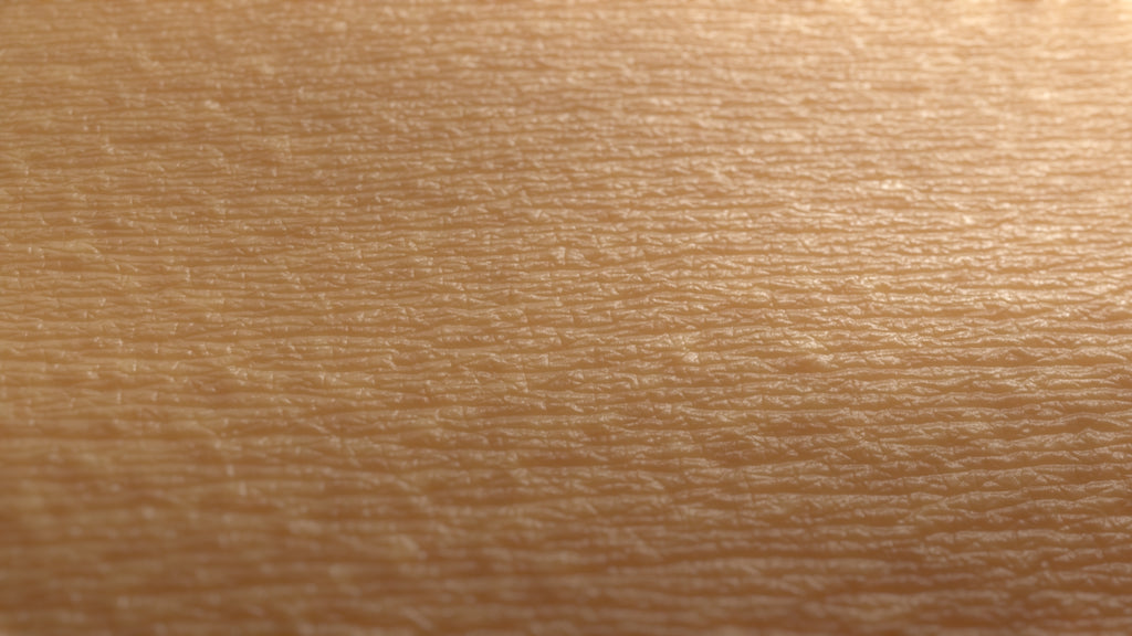 MicroSkin Belly #02 – Texturing.xyz