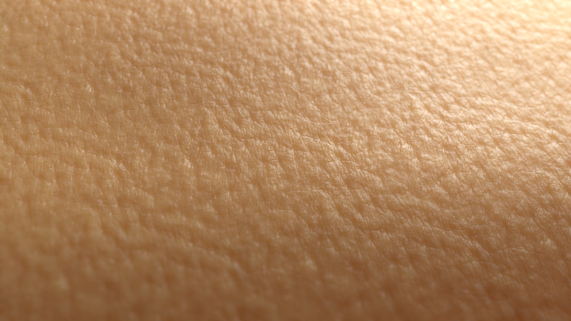 MicroSkin Face Forehead #16 – Texturing.xyz