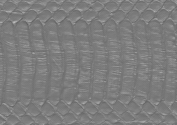 Snake bottom - commercial use #01 - Texturing.xyz