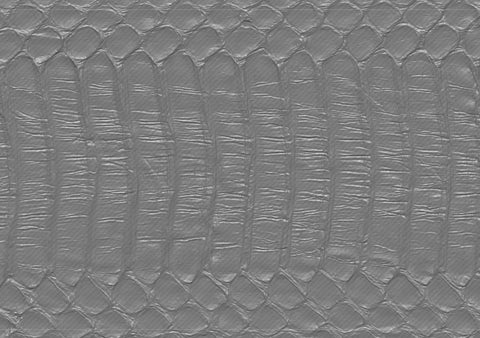 Snake bottom - commercial use #01 - Texturing.xyz